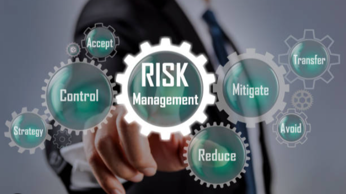 What Are the Top Risk Management Strategies for 2025?